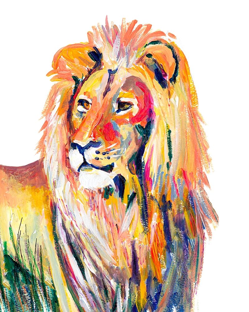 Colorful Lion on White