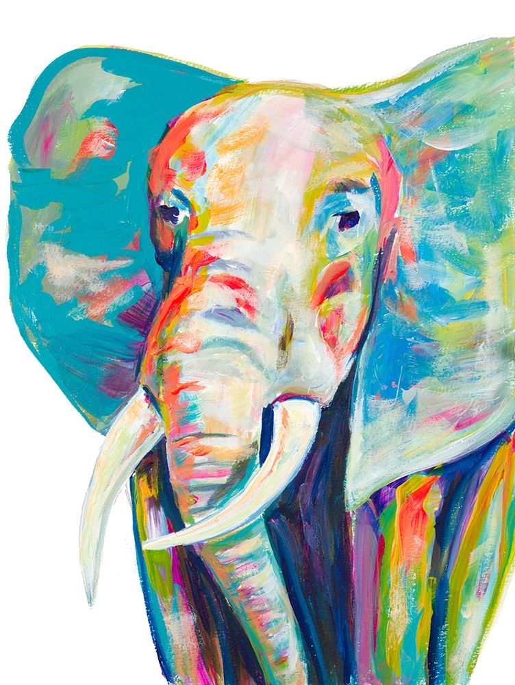 Colorful Elephant