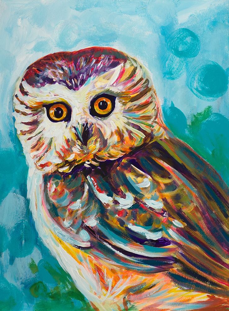 Colorful Owl