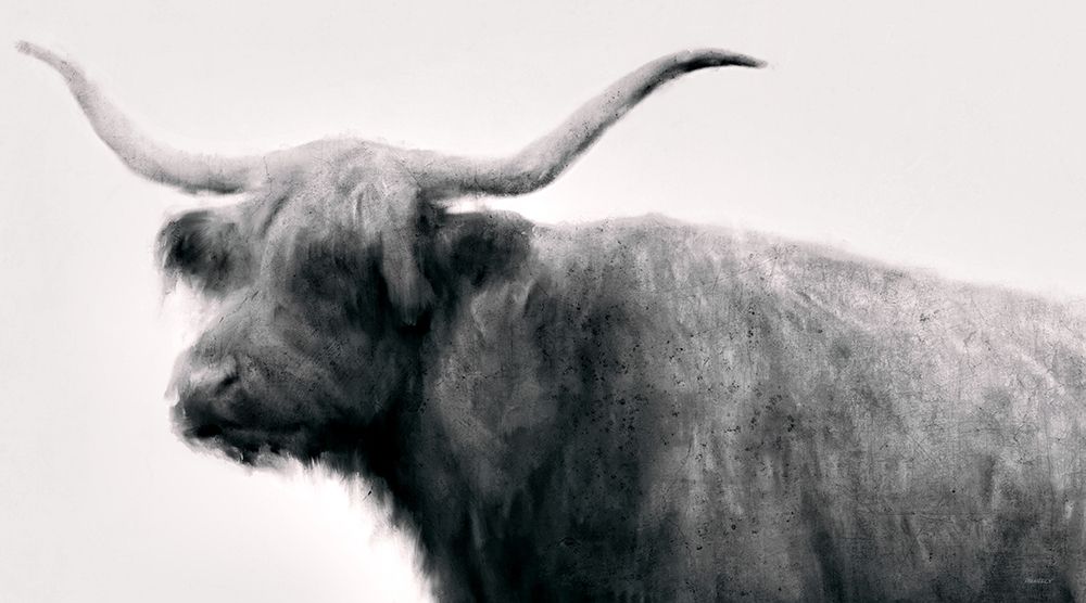 Vintage Bull