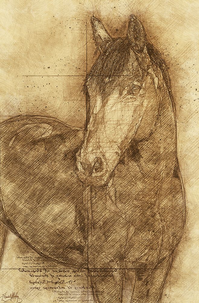 Sketched Horse