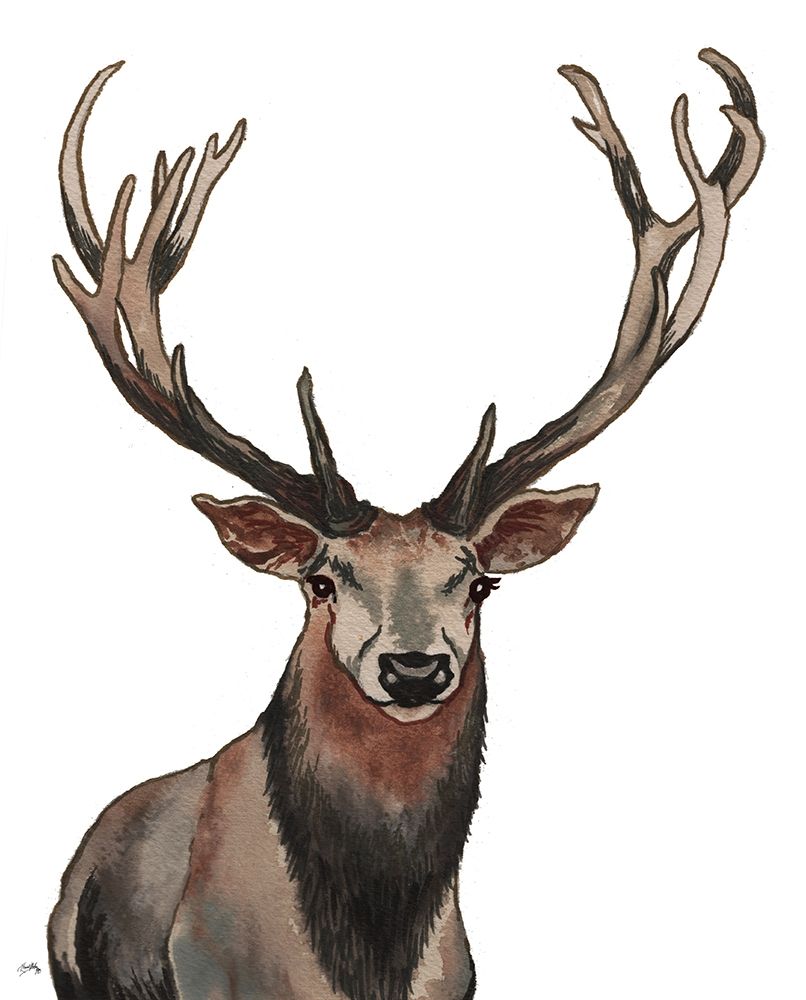 Elk