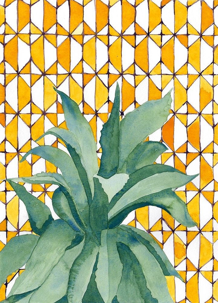 Yellow Tile Agave