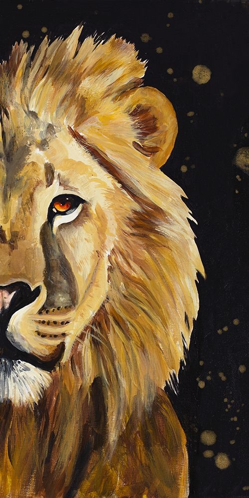 Lion Half Face