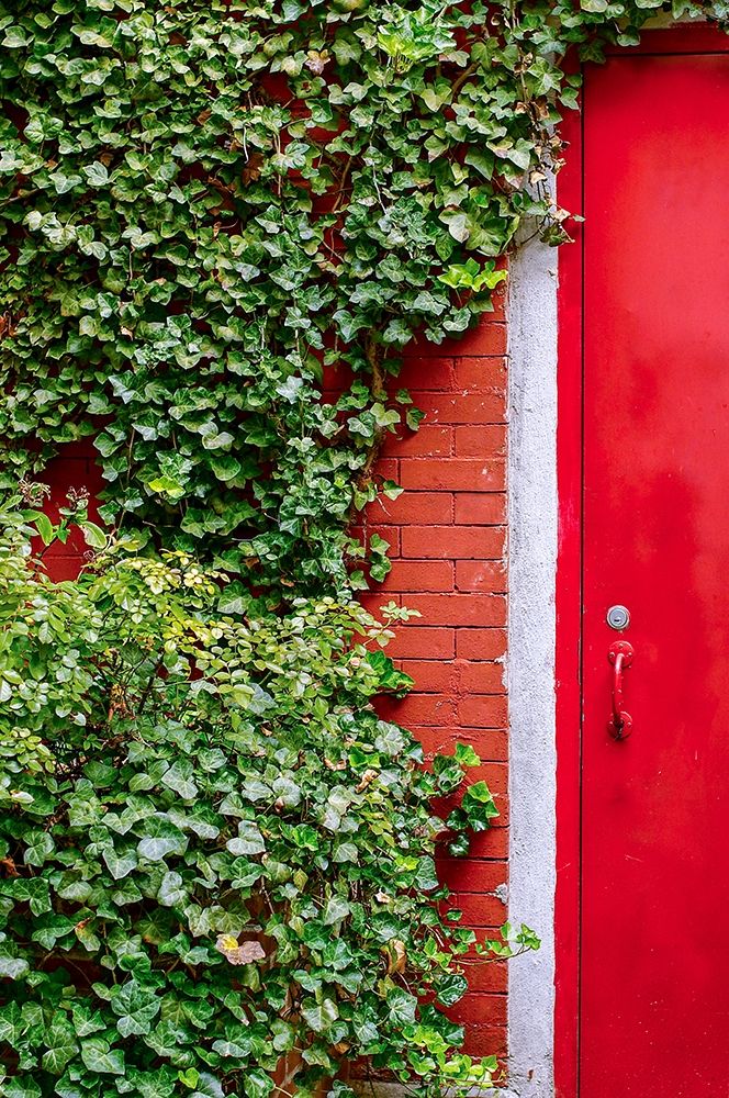 Red Garden Door