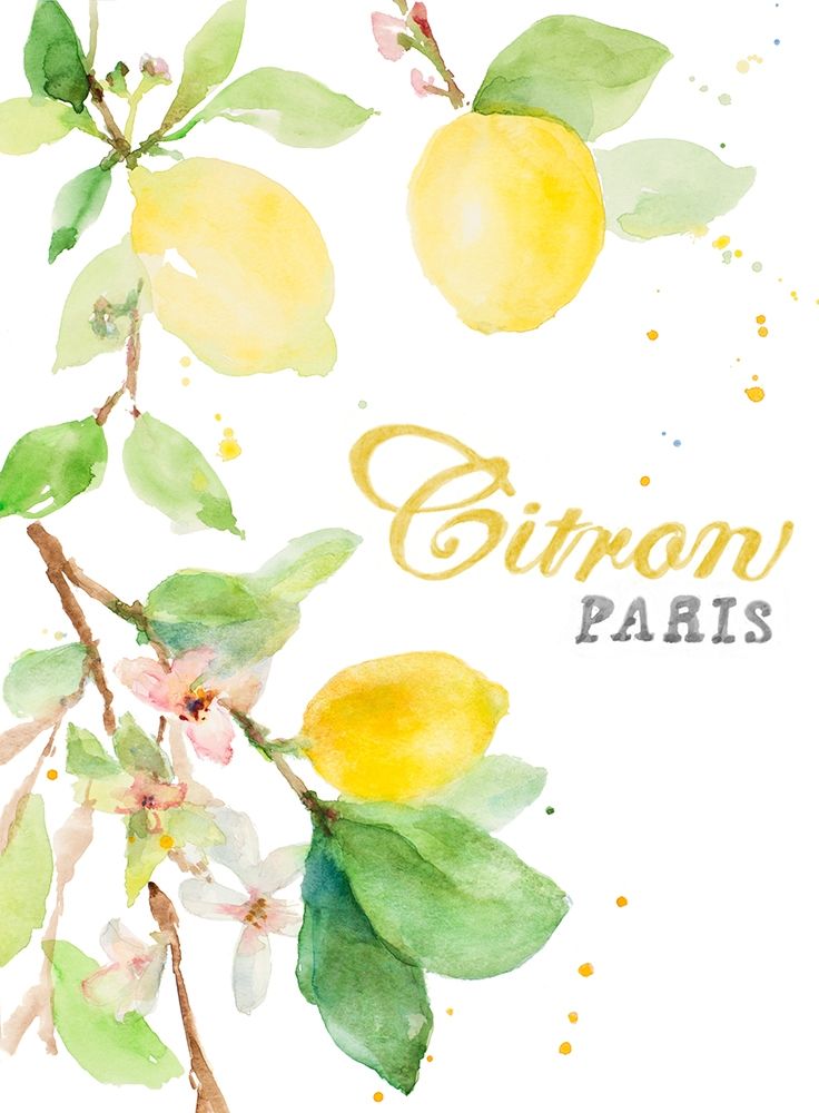 Spring Citron In Paris