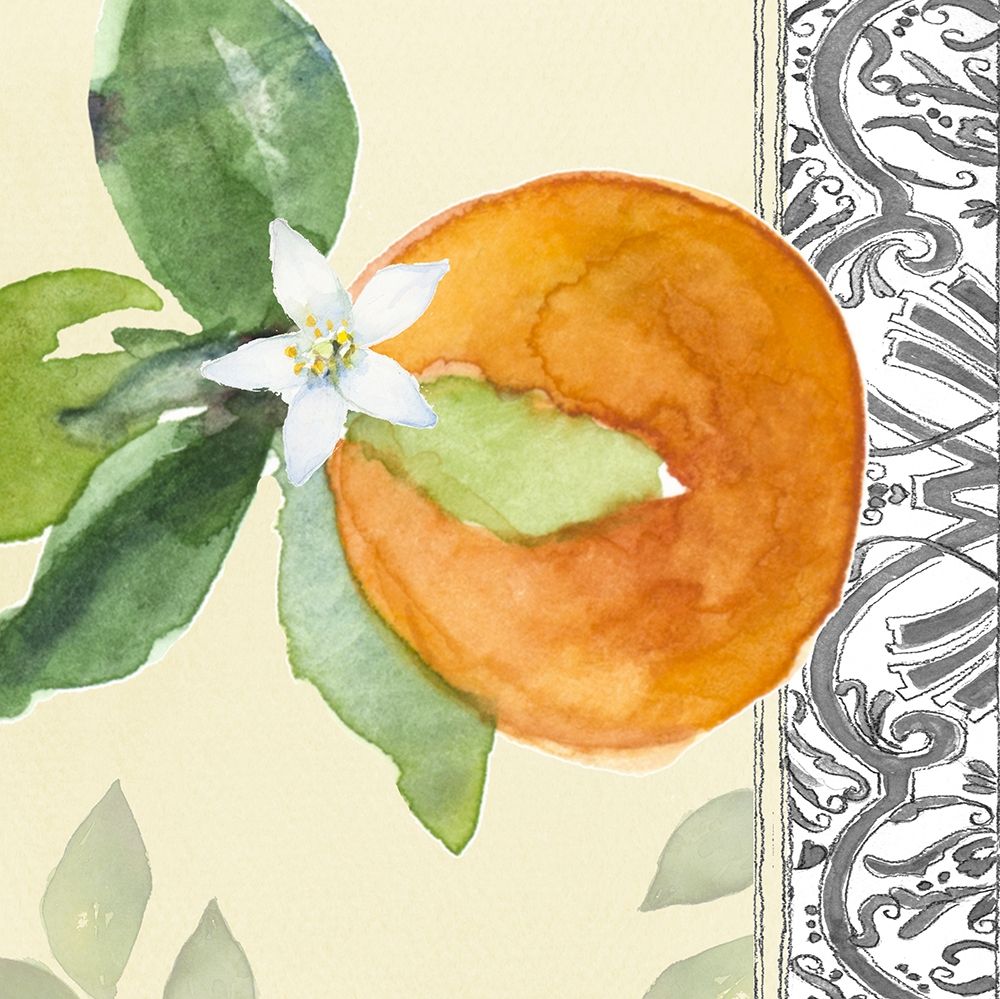 Orange Blossoms I