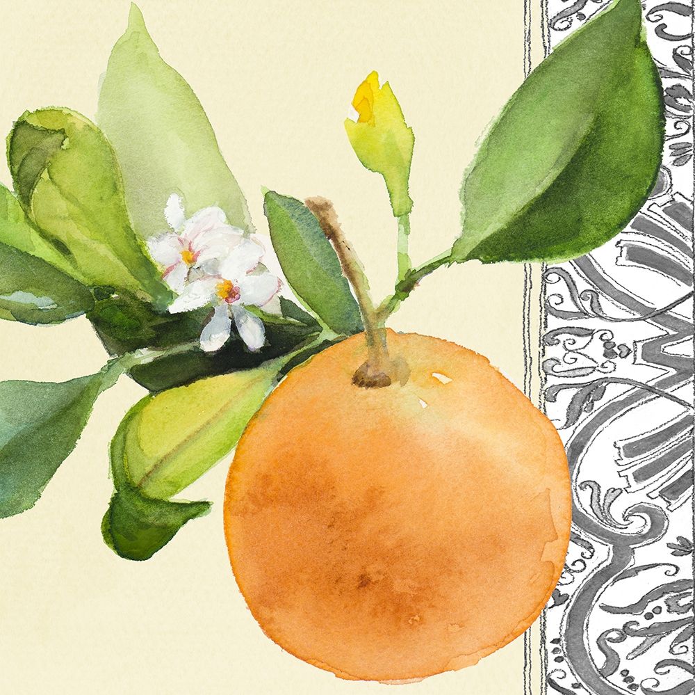 Orange Blossoms II