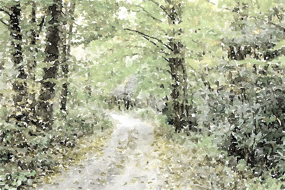 Dappled Path