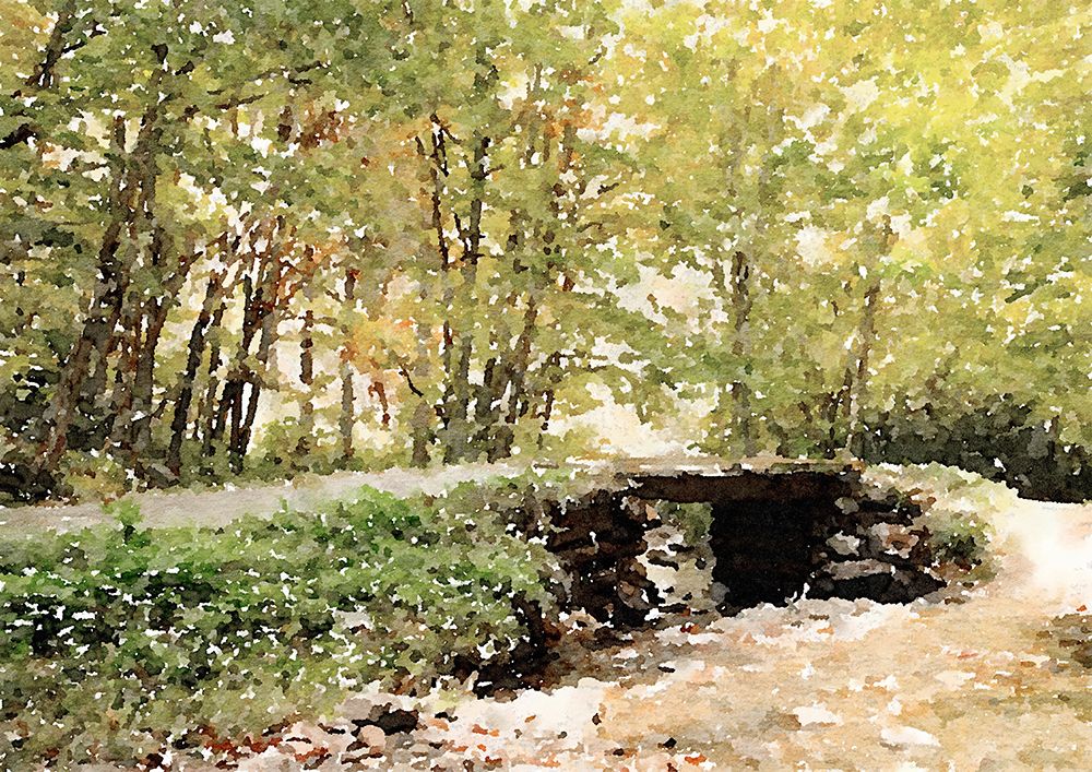 Dappled Stream