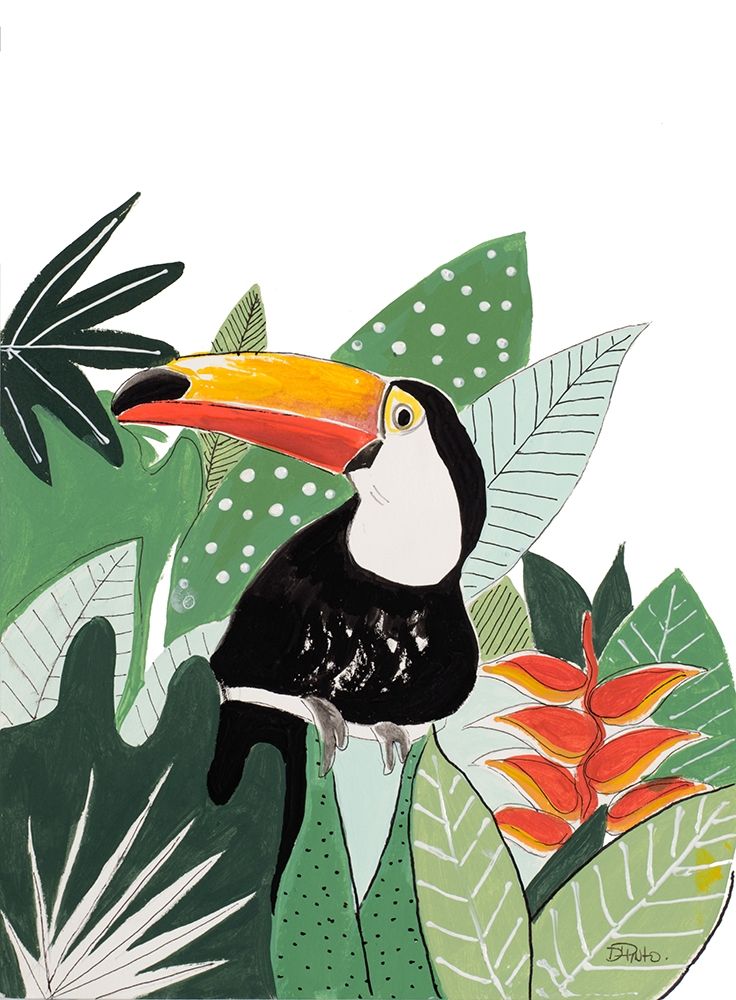 Peering Toucan