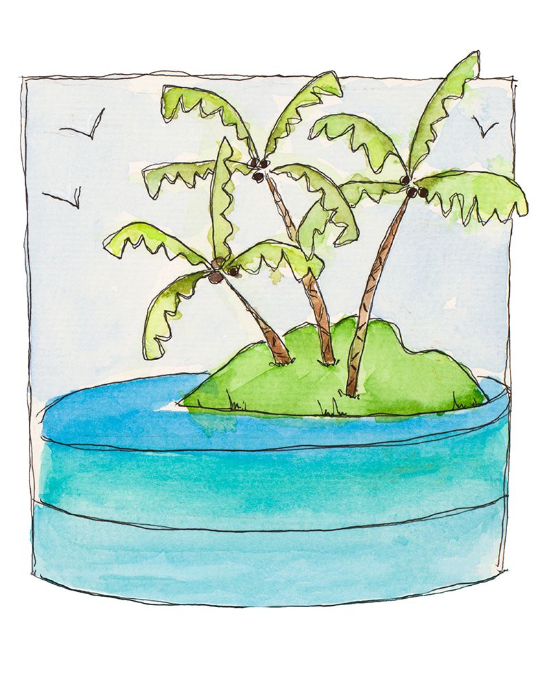 Island Palms II