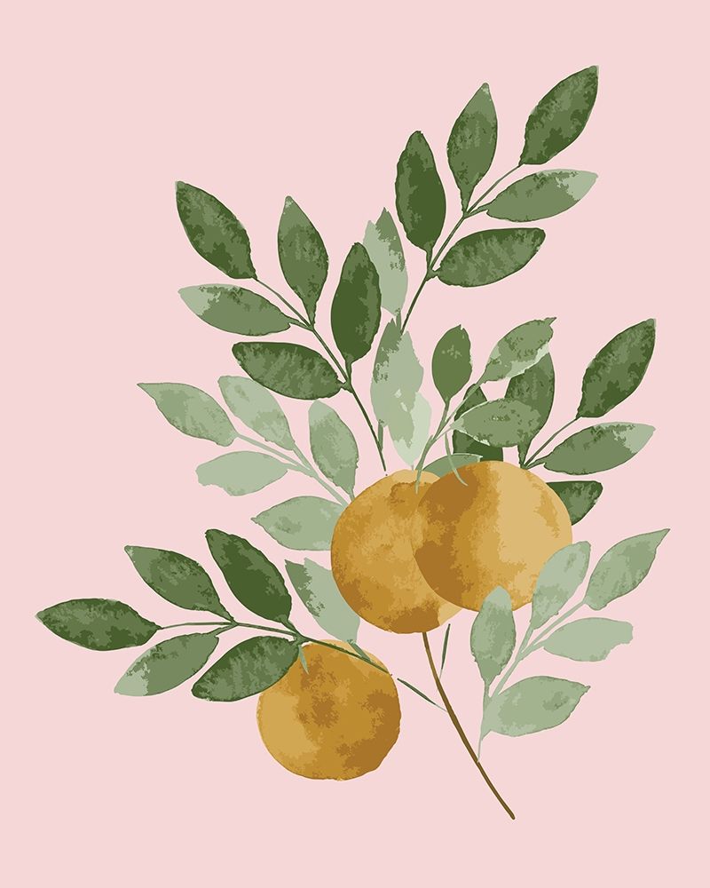 Oranges