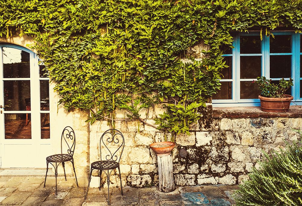 Vine Covered House II
