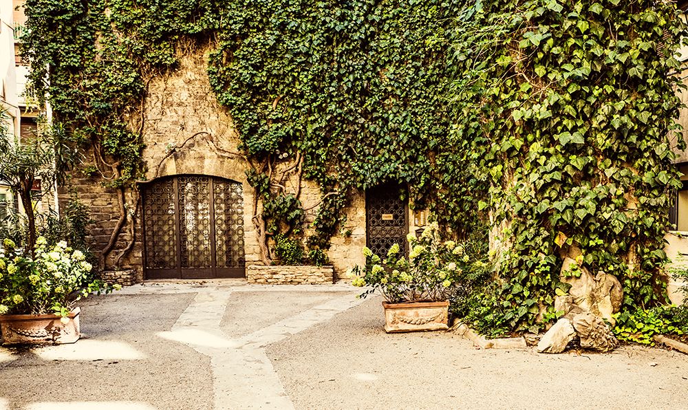 Vine Covered House I