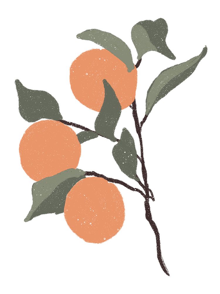 Stem Of Oranges
