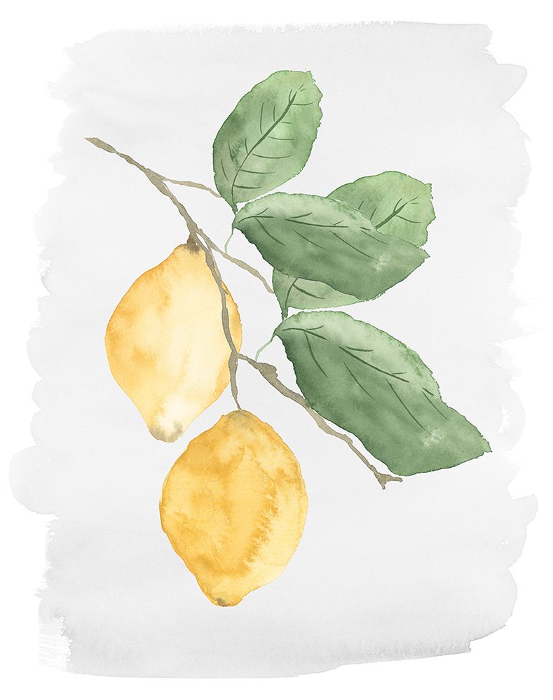 Fresh Lemons
