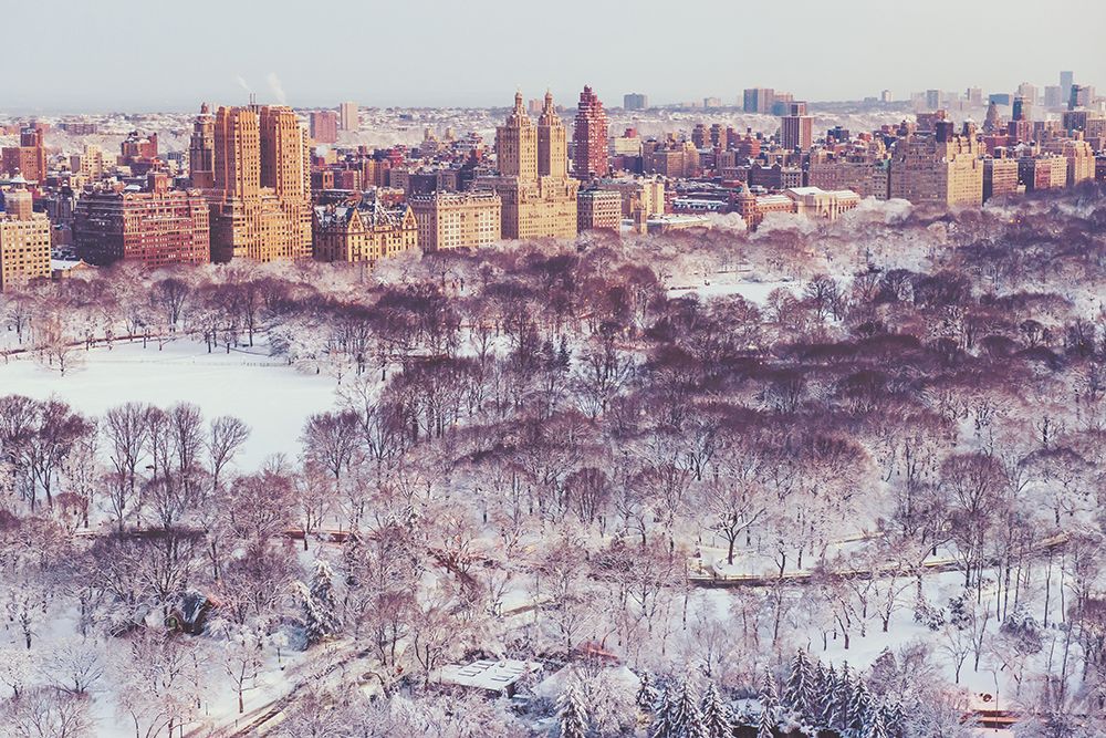 Winter In Central Park