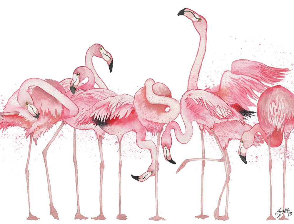 Flamingos Flaunting It