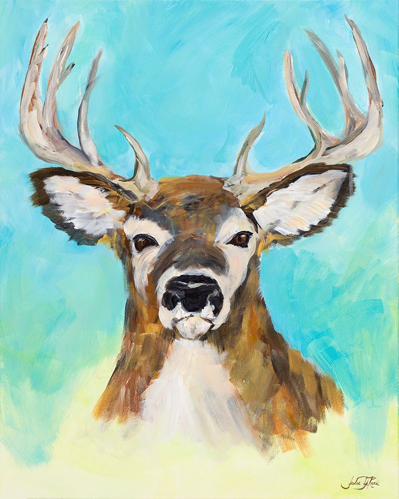 White Tail Deer