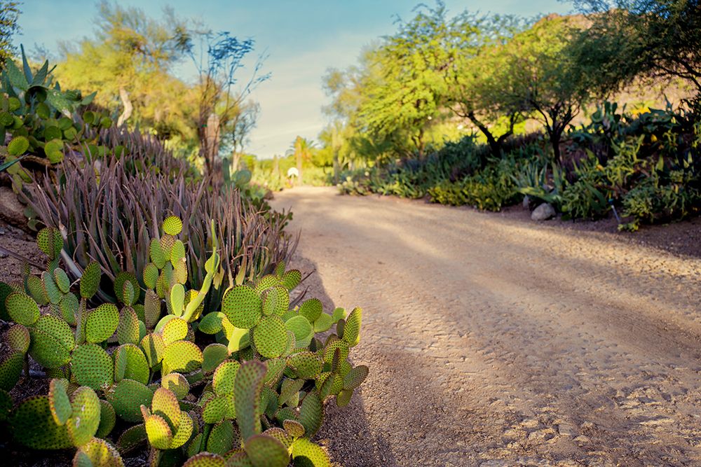 Southwestern Road
