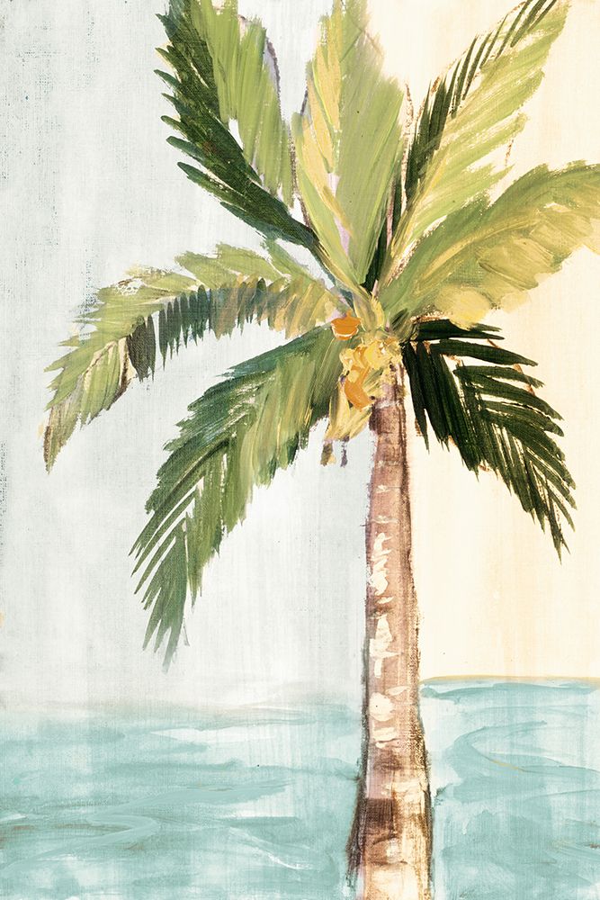 Oasis Palm I