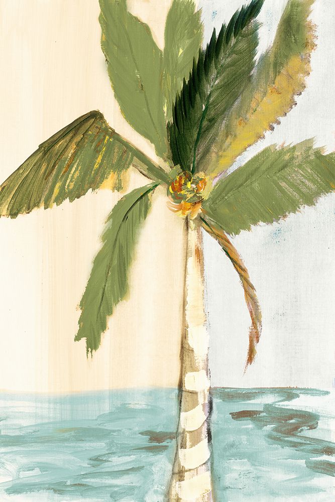 Oasis Palm II