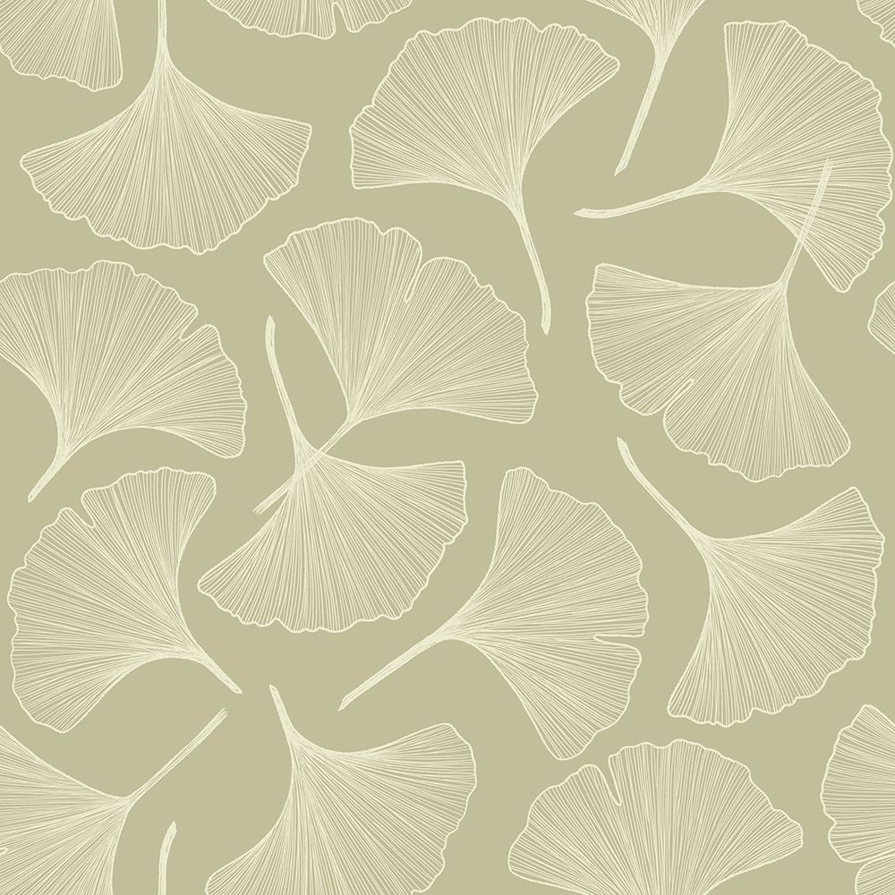 Fan Pattern