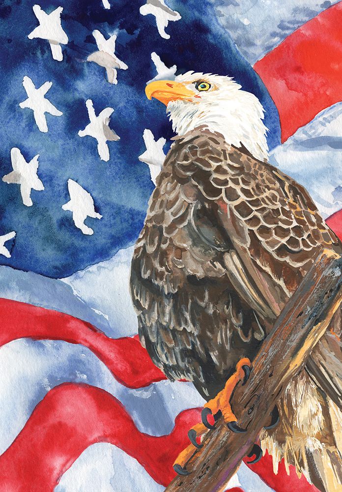 American Flag and Eagle