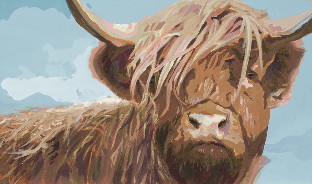 Highland Cow