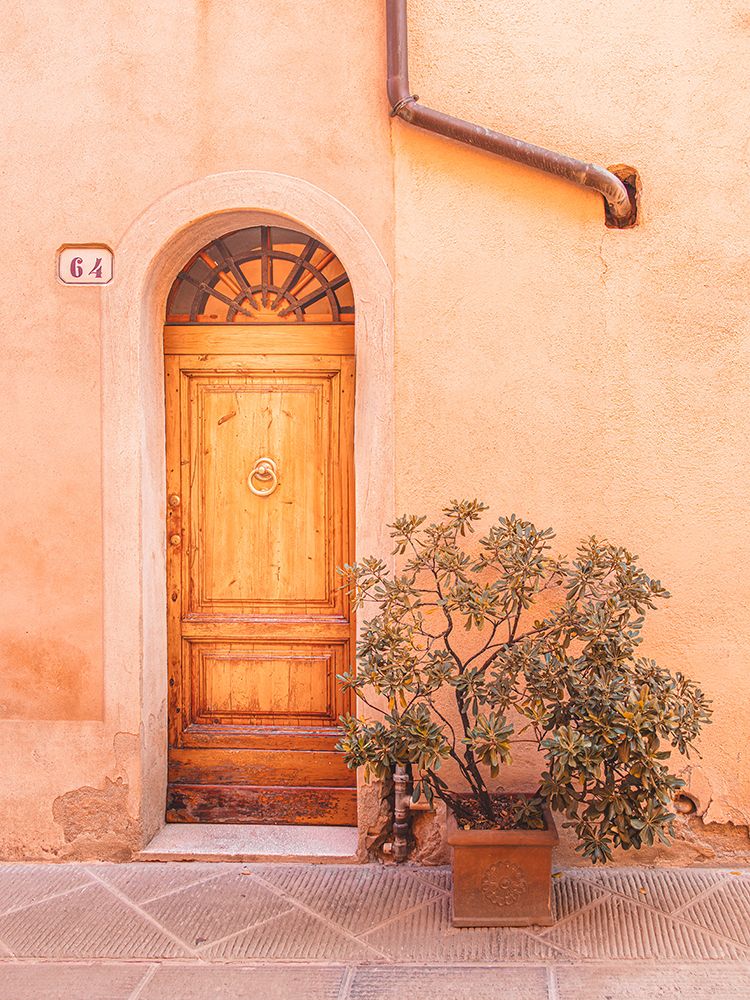 Enchanted Cedar Door