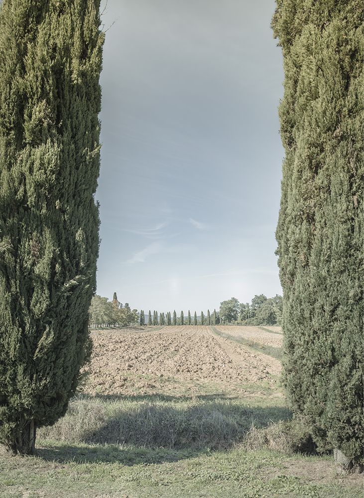 Natures Gate