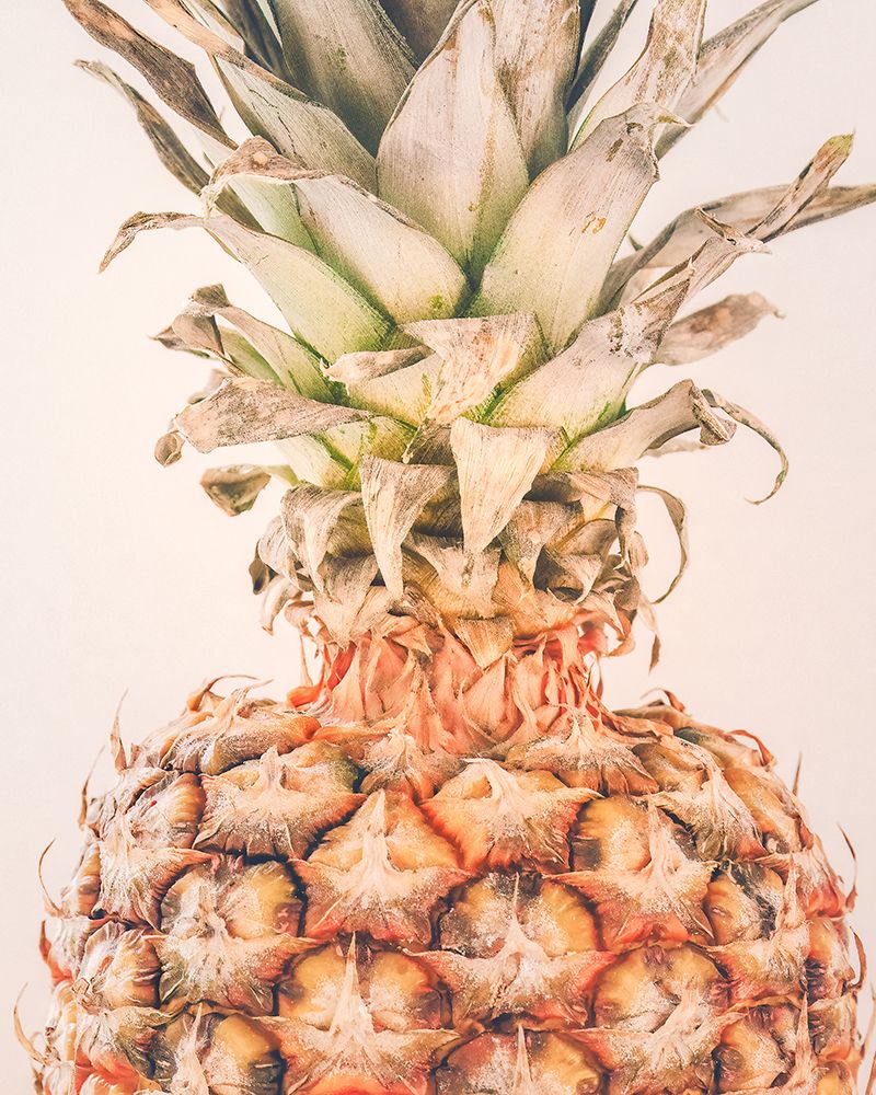 Pineapple Detail