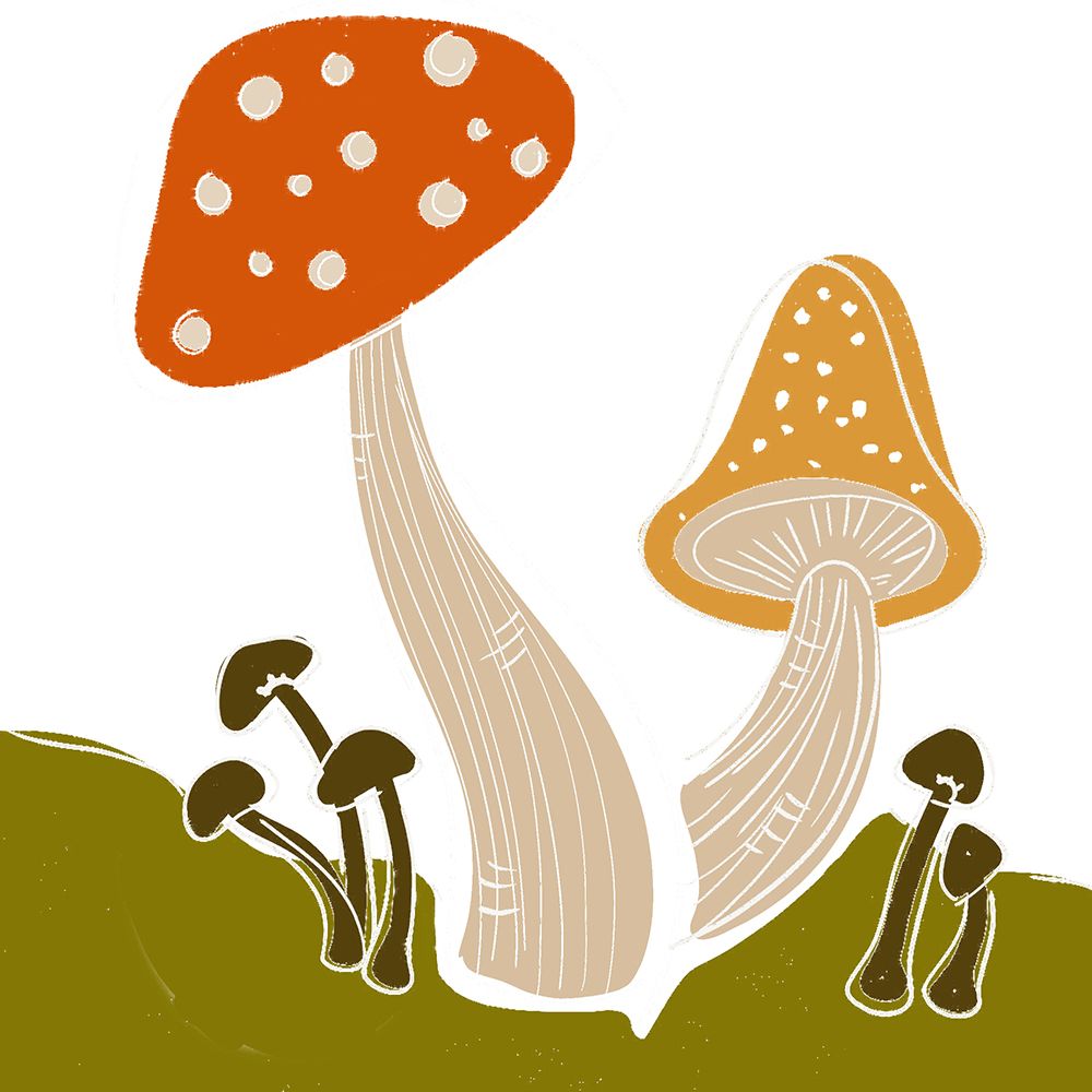 Mushroom Dance I