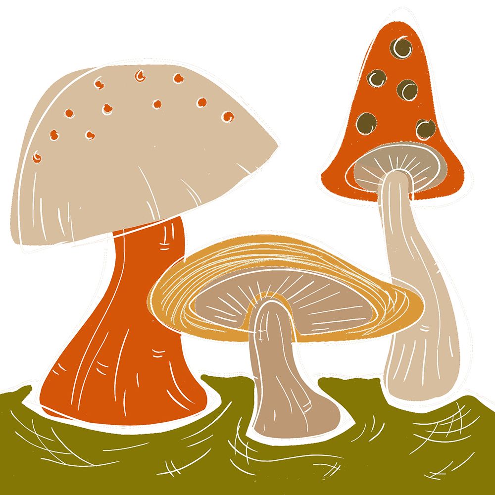 Mushroom Dance II