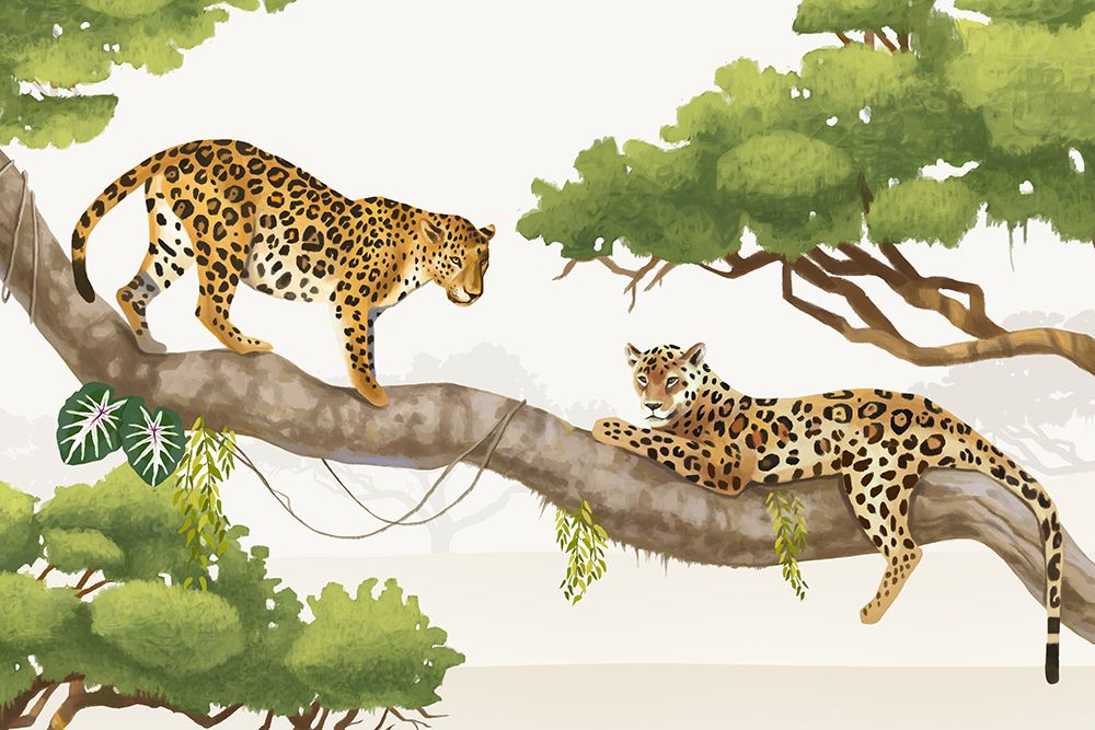 Leopards