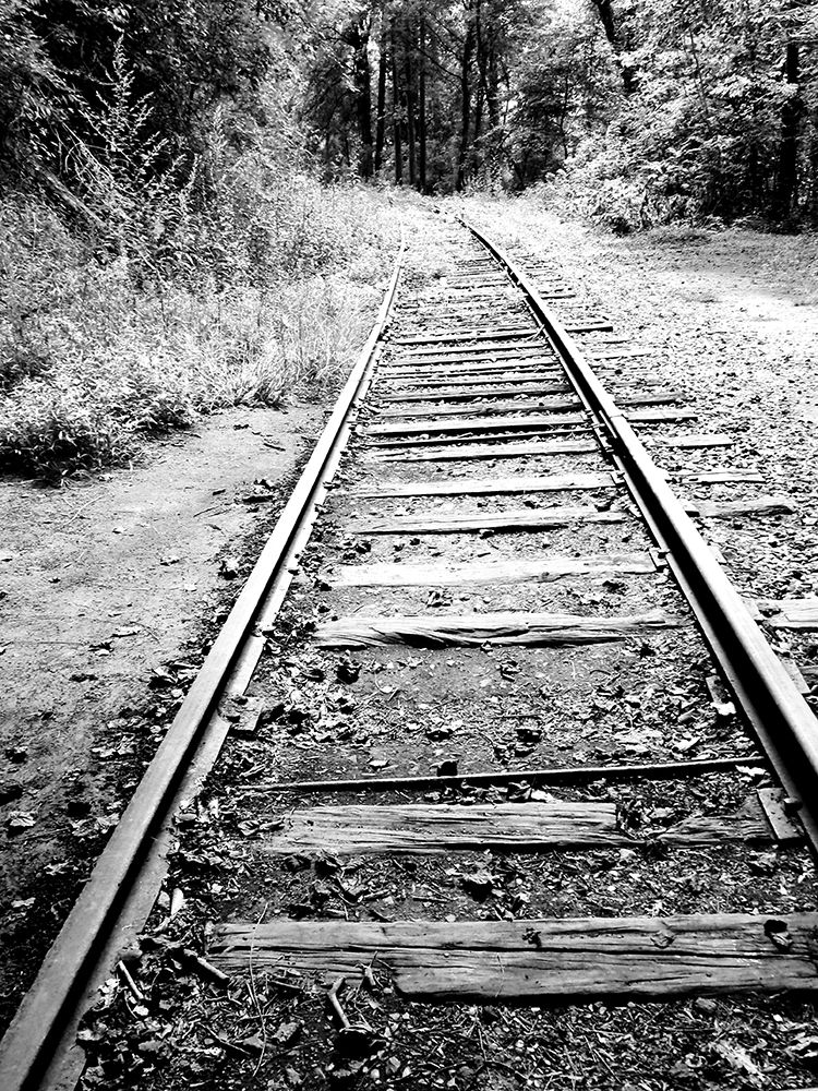 Railroad Tracks