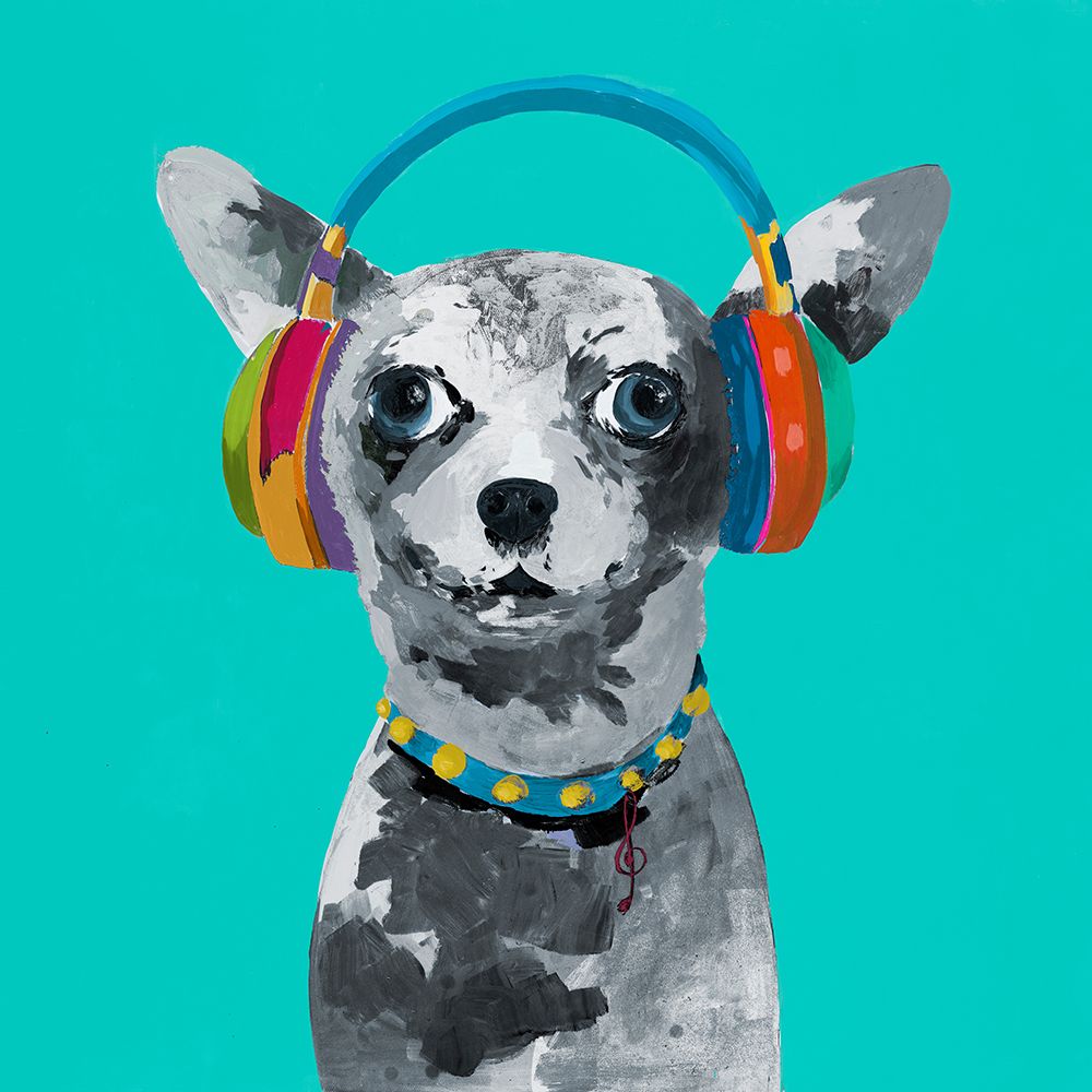 Jammin Pup on Teal