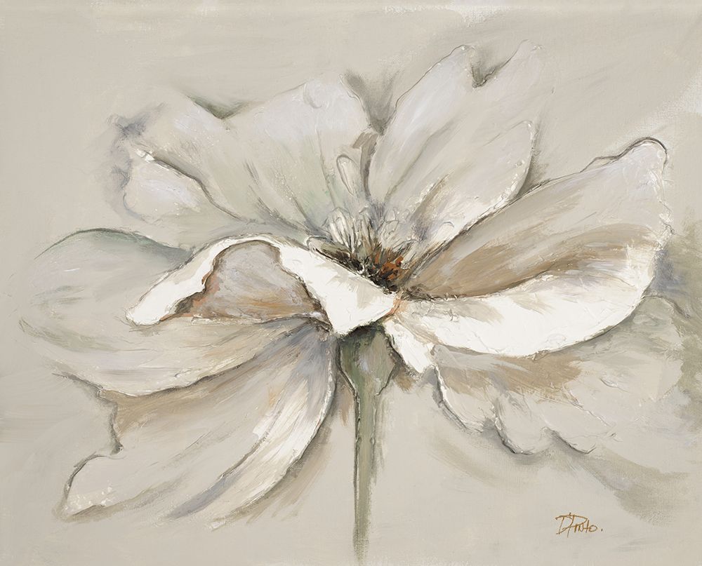 Beauty Of Simplicity