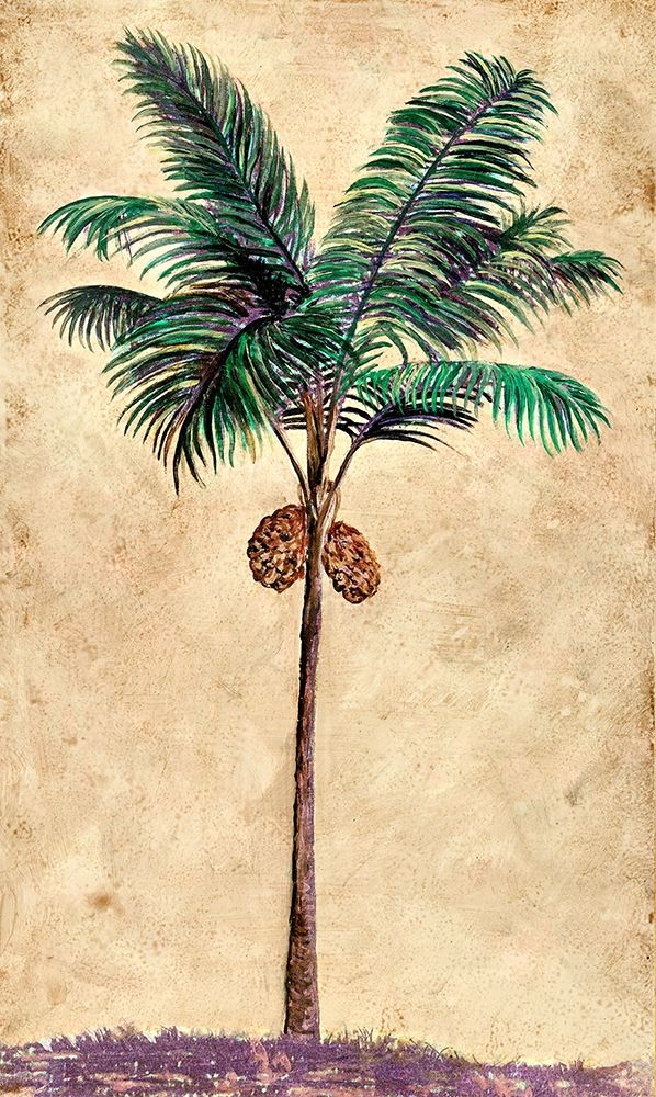 Coconut Tribal Palm II