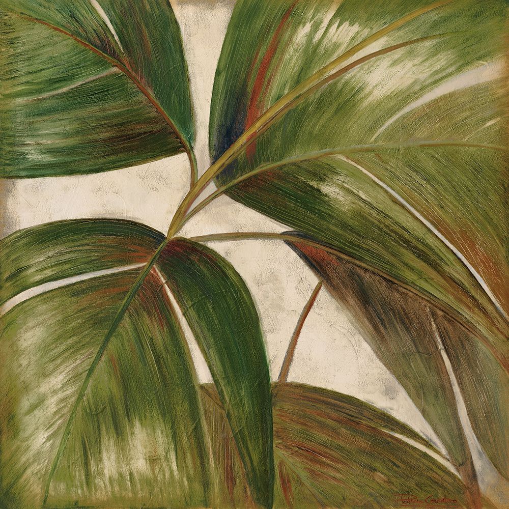 La Palmera III