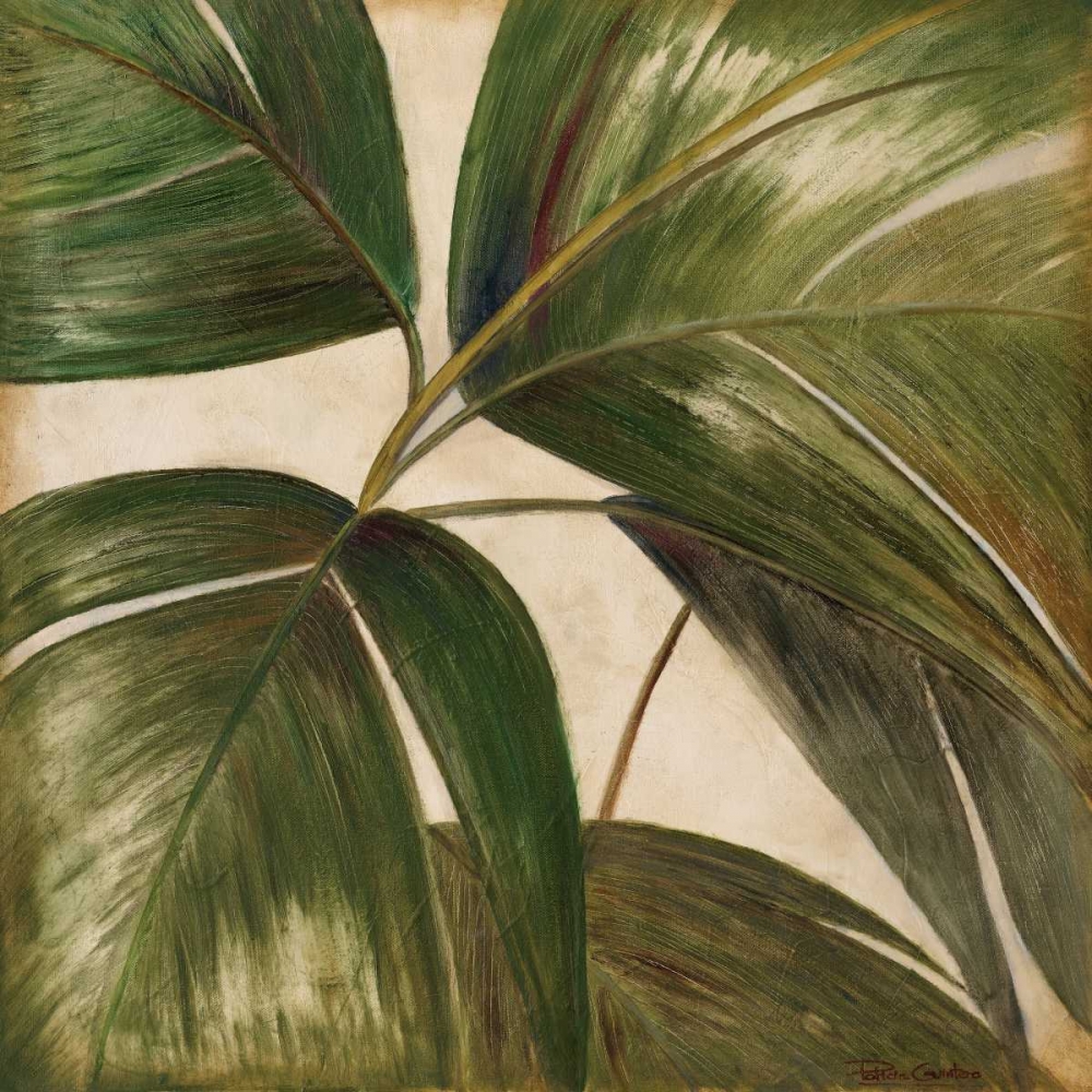 La Palmera III