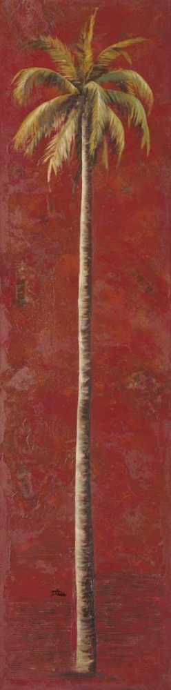 Red Palm I