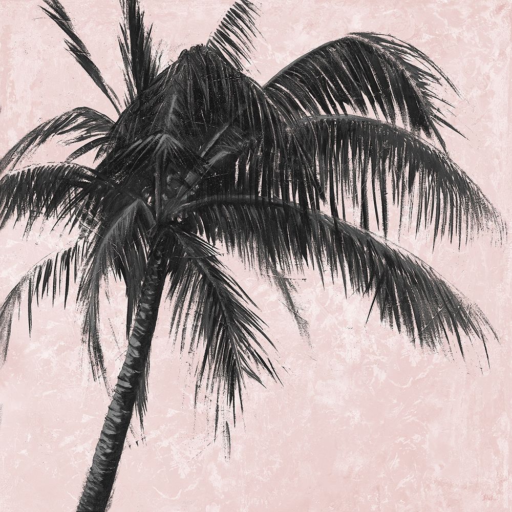 Gray Palm on Pink I