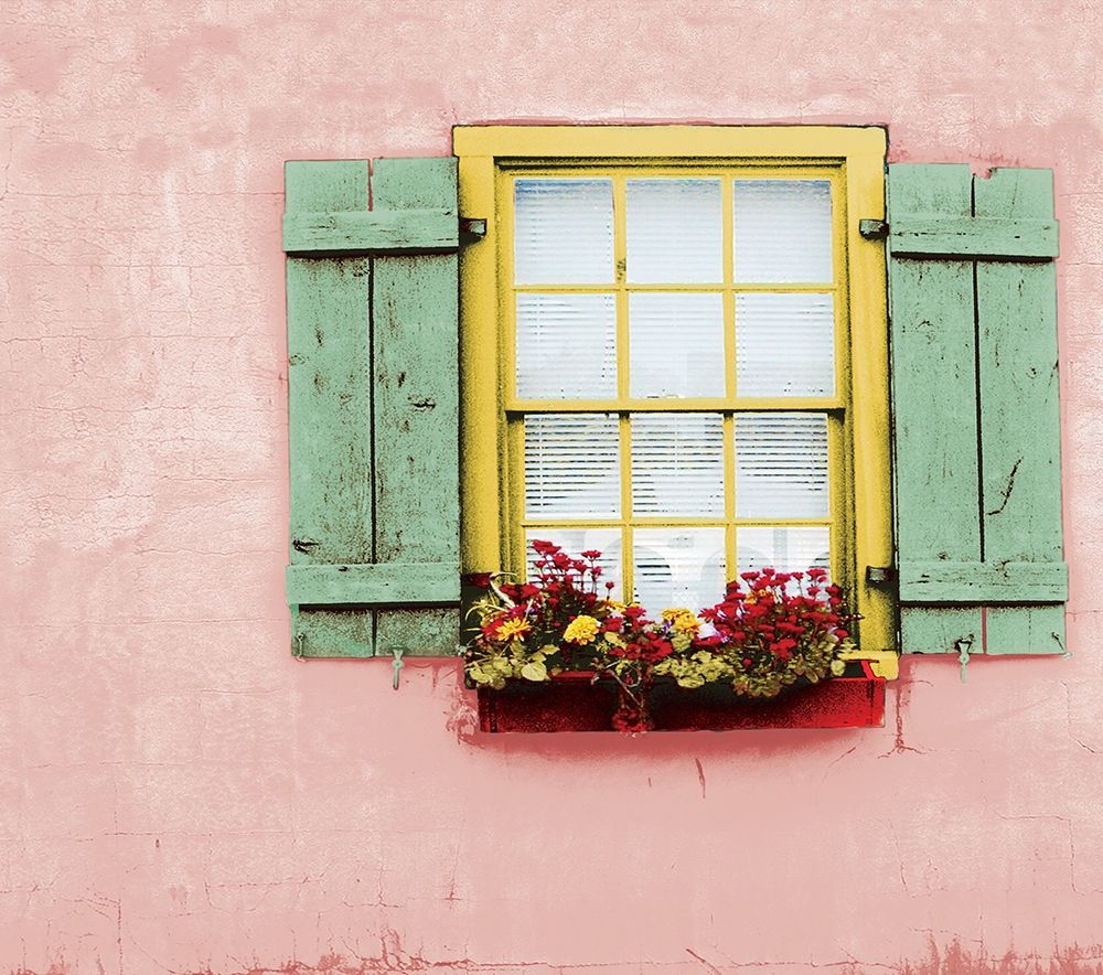 Pink St. Augustine