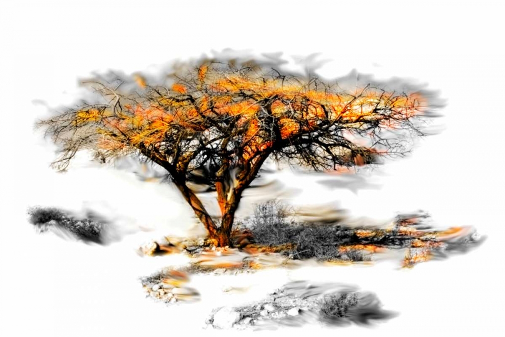 Trees Alive II