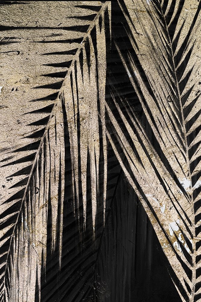 Natural Palms on Black II