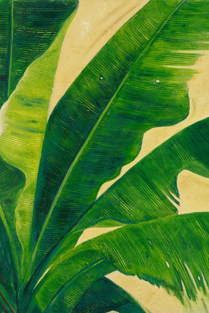 Uraba Palm I