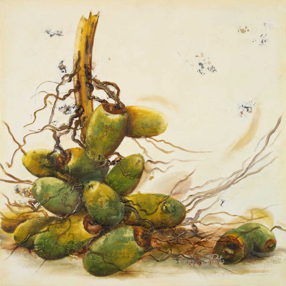 Racimo de Cocos I