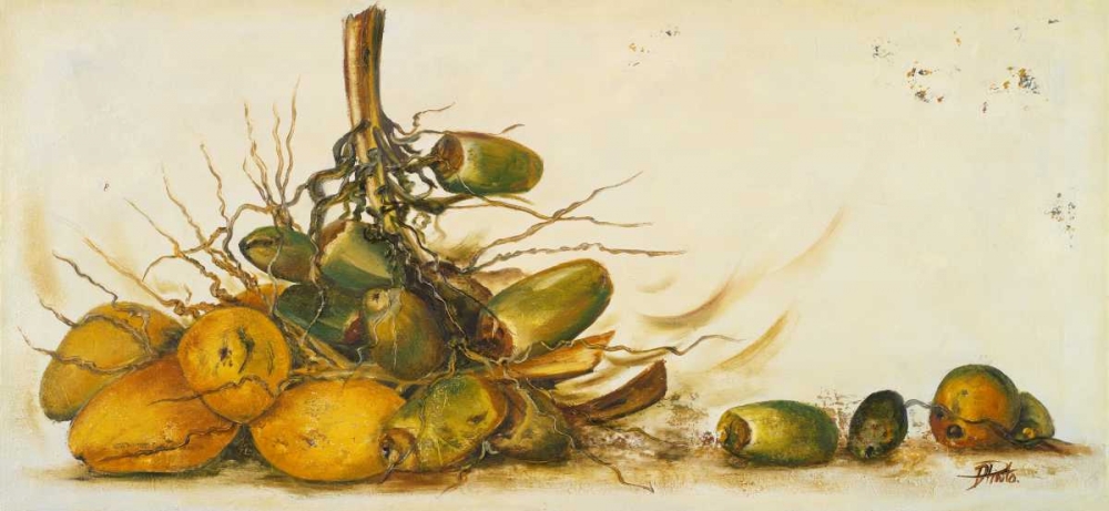 Racimo de Cocos III